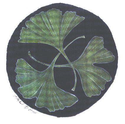 grgingko.jpg (31594 bytes)